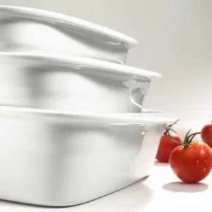 Pillivuyt Lasagneform Rechteckig 40 X 25,5 Cm 9